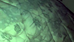 Ex girlfriend shares intimate moments with her partner in amateur couple videos