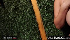 stacked honey hardcore pounded by massive cock - ashlyn peaks - allblackx