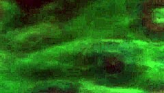 Wow, the ebony black amateur gives good head in homemade blowjob. She sucks the big cock