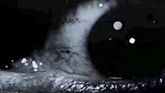 this interracial taboo chocolate and ginger video is so hot and vintage