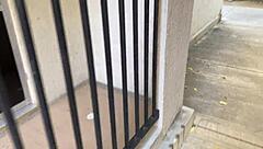 Beautiful teen pornstar takes big cock home