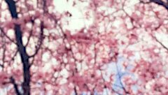 i have a crush on valentina jewels and we share lesbian love with licking and touching