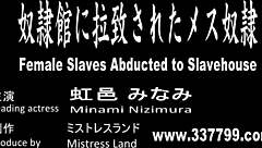 Minami Nizimura - 日本女主人惩罚奴隶