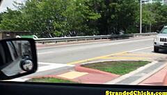 the real hitchhiker buffs the driver's knob in the car