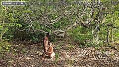 Missing ID in input, skipping