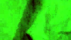 Gorgeous Colombian GF Squirts from Fingering and Oral!