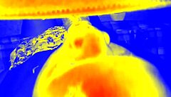 Thermal giving sloppy interracial blowjob and handjob in POV.