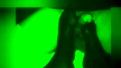 A collection of public outdoor video clips