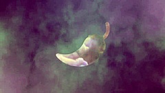 Prank YouTuber calls me on video and we end up fucking!