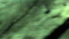 Pretty Czech woman showing her shaved pussy - xczech.com