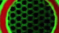 blonde vicky vette receives cumshot on big tits and swallows it