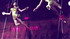 Vintage Erotic Illustration From Antique Collection