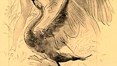 Vintage antique drawings collection