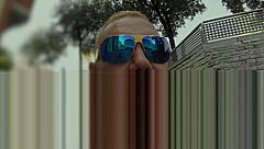 He Negotiates Blowjob Then Pounds Her Passionately?