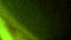 in this homemade scene, a young ebony couple fucks passionately, exploring each other's bodies.