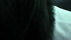 my nephew sucks my big cock