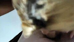 duas safadas dividindo os maridos