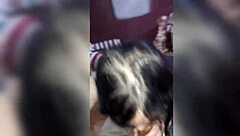 Want me to suck your cock too? Yes, I love it!