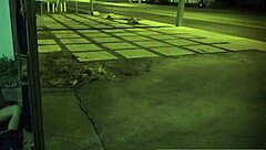 i watch my tattooed alt girl deepthroat and titty fuck