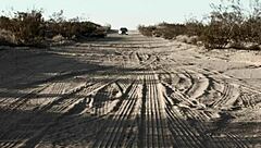 hardcore teens fuck and suck!