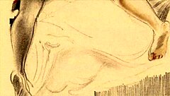 Vintage Erotic Drawings