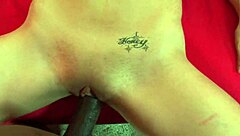 i moan as black cock drills my exotic body