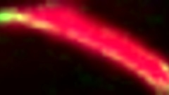 Bride gets cum in mouth during wedding