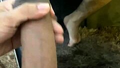 dotado com 24cm socando uma at� gozar duas vezes em dois �ngulos