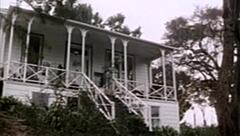 classic annette haven sucking cock expertly