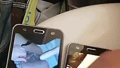 new tribute to the chilean cucumber