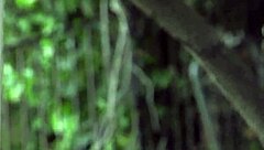 Trespassing Student Gets Rough Fucked With Deepthroat And Choking!