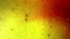 Are Black Tgirls 18+ With Big Tits And Ass Solo