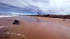 Beautiful latina fucked on beach with everyone watching