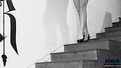 Amateur Playboy Girl Next Door Milf Babes Undressing Softcore