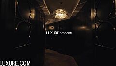 Girls in lingerie have wild orgy