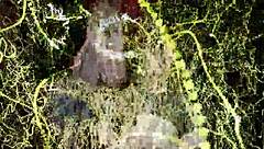 Mistress Induces Mindless Jerk Off Instructions Trance On Beta