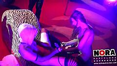 La Almeja Gallega gets strapon anal!