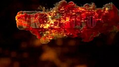 Erika Korti Takes Monster Cock Anal Creampie From Vincent Vega