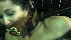 sweet chick devours anal output during rough sex