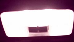 fabi thompson and emme white fuck fernandinha in car