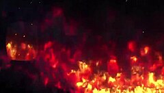 Is This Bunny Tgirl Fucking Like A Real Rabbit?