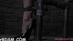 Rough domination as slut sucks cock and gets cunt pounded