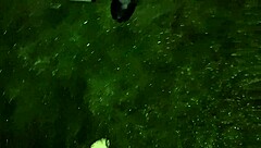 Can Two Strangers Resist Hot Lesbian Fucking in the Barn?