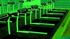 yo, check harem hotel 427 with sexy curves