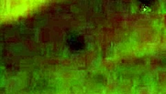 Amber Crider's Fat Ass Fucked?