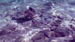 german teen shows big boobs in bikini at beach 😍