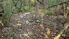 sisneedsme threesome taboo fuck with jewelz blu and natalie knight riding stepbro