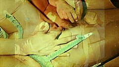 craving some vintage lesbian action with hairy retro toys?