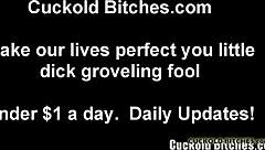 humiliate the cuckold game begins