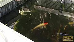 Can Rachel O'Brien handle the rough maledom cock in Pascalssubsluts' facial domination?